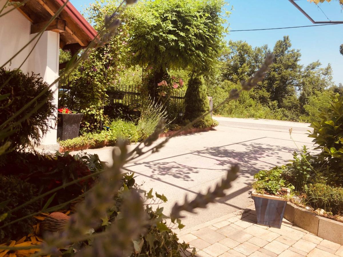 Rooms Jana - Housity
