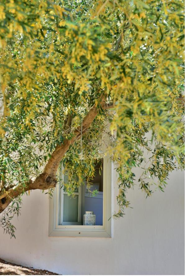 Douskos Beach House - Housity