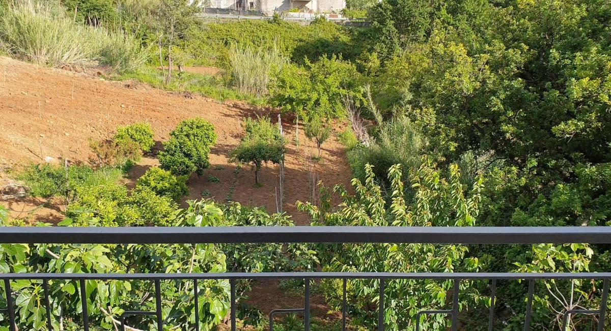 Suitetrails - Carla's House - Relax a Scalea tra mare e monti