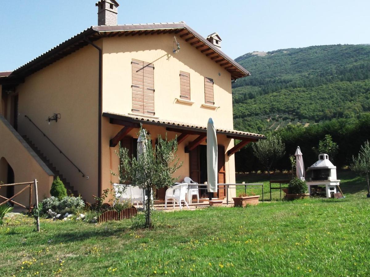 Azienda Agrituristica Bocci - Housity
