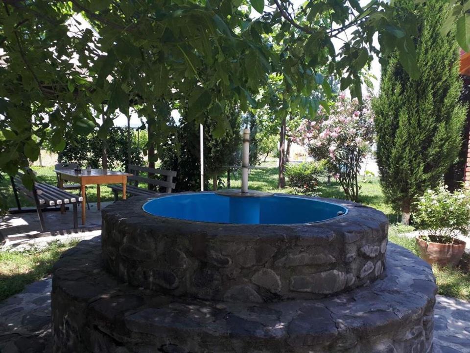 Shaloshvili's Cellar Hotel - Housity