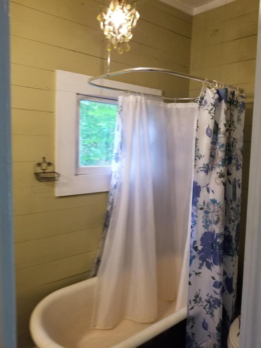 The Cabins at Healing Springs - Housity