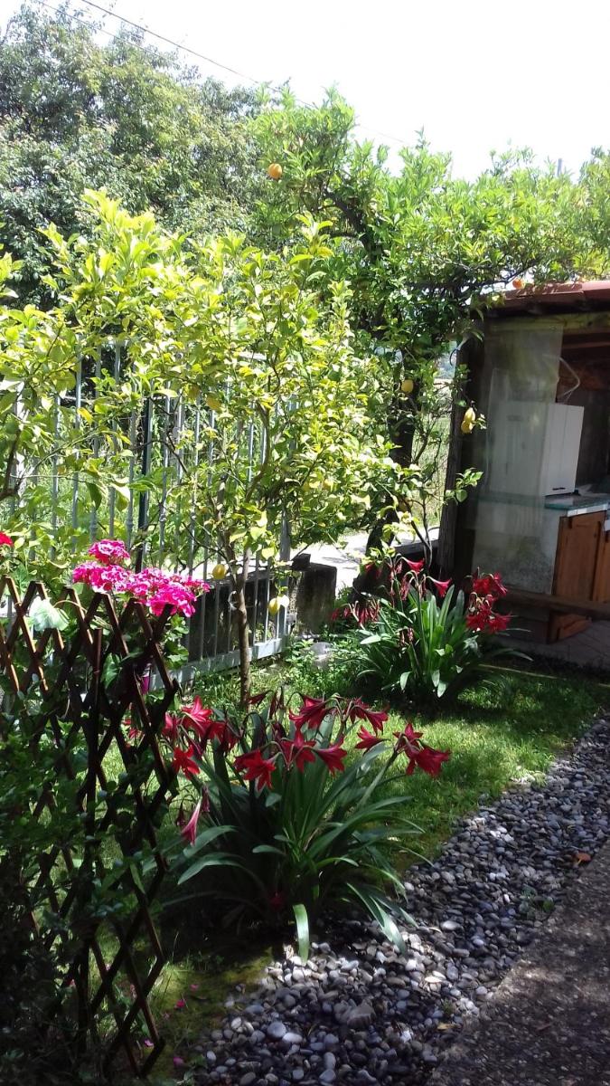 Affittacamere da Rosa - Housity