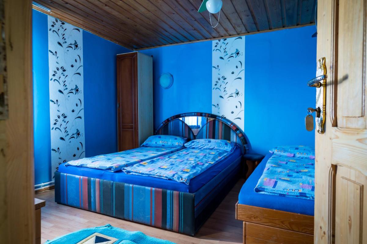 Pensiunea elena - Housity