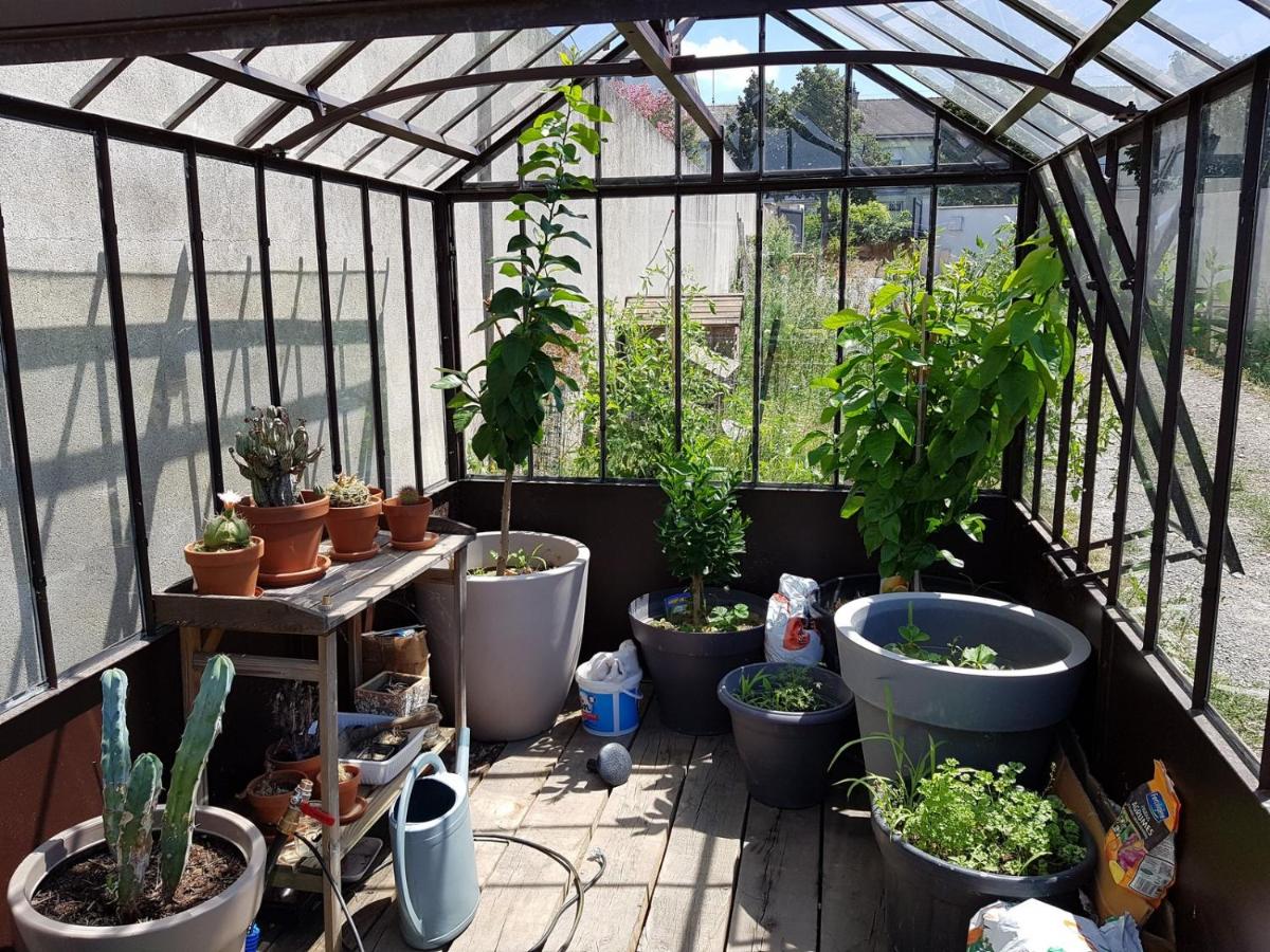 Angers Green Lodge - Yellow Sun Appartement - Housity