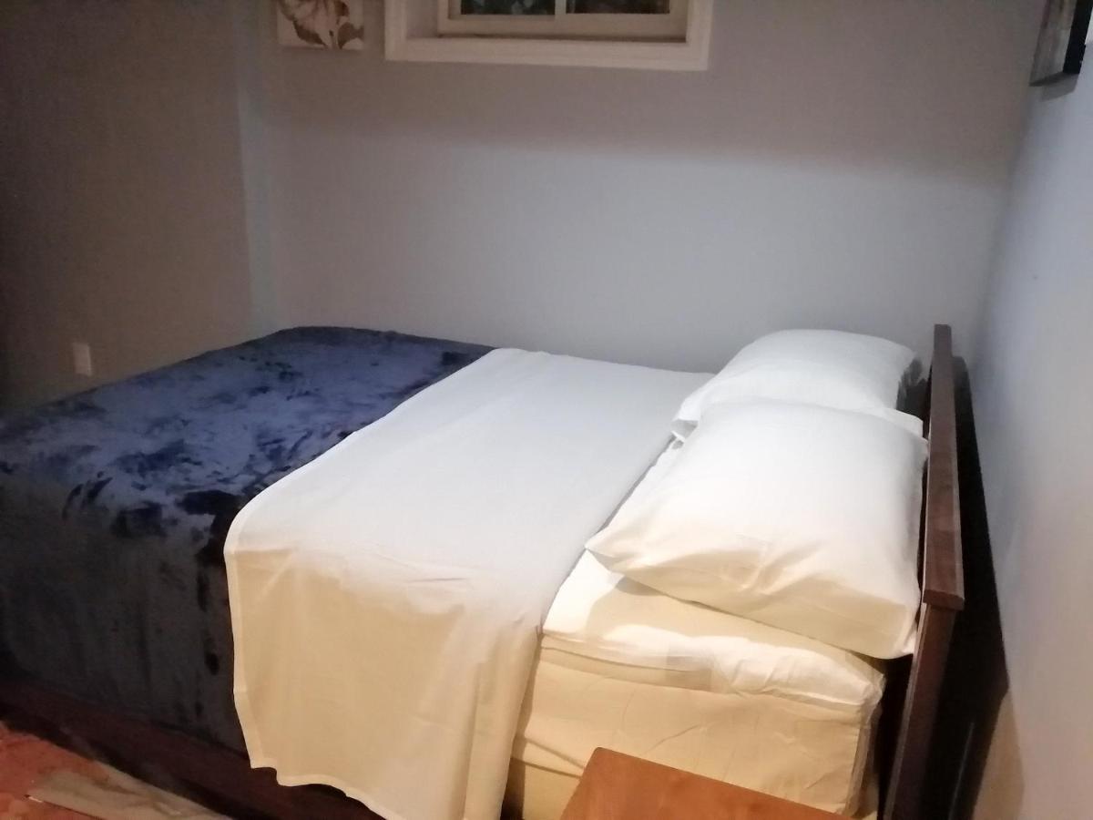 Cozy basement bedroom - Housity