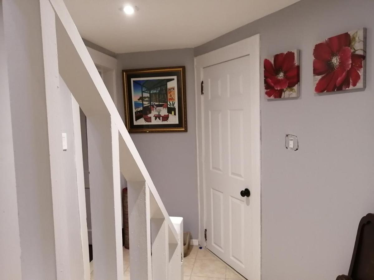 Cozy basement bedroom - Housity