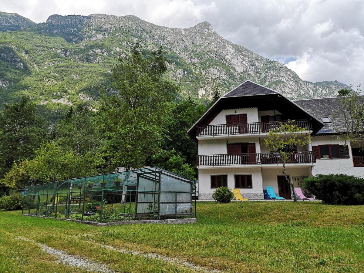 Apartment Joži - Housity