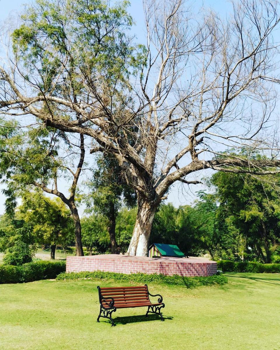 a park bench in front of a large tree at Trident Agra in Agra