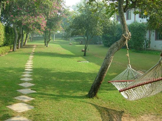 a hammock hanging from a tree in a park at Trident Agra in Agra