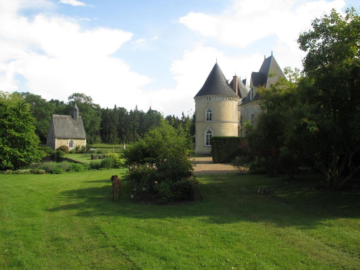 Château de Vaulogé - Housity