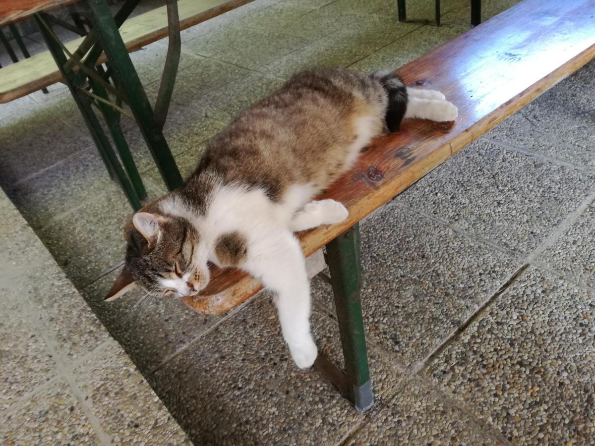 Fuchsbauernhof - Housity