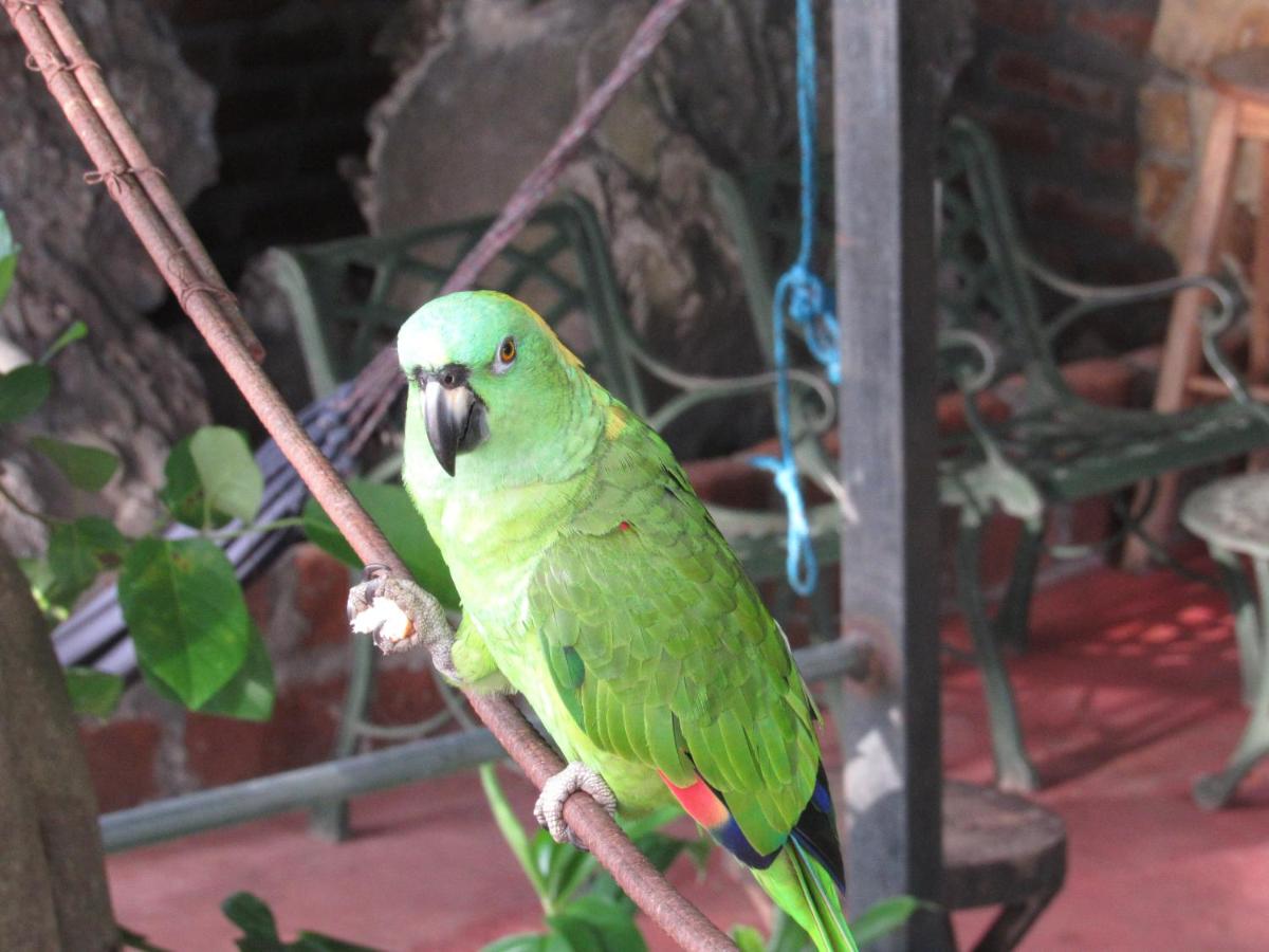 hostal Eco-Lodge La Chiponga - Housity