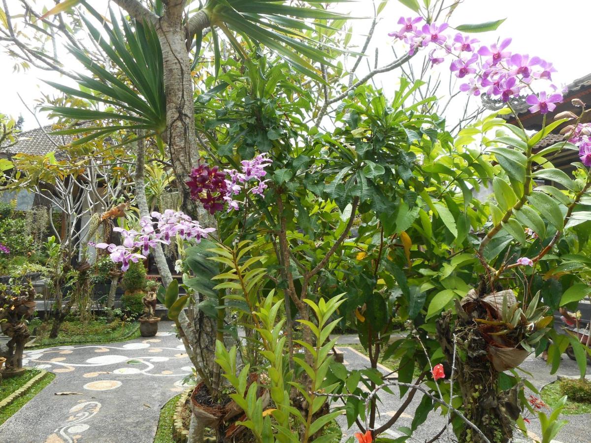 Milla Homestay - Housity