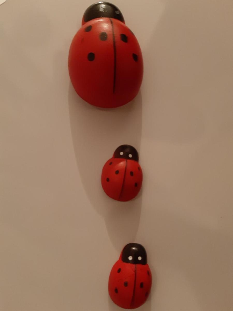 Apartman Ladybug - Housity