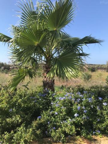 Finca El Idilio - Housity