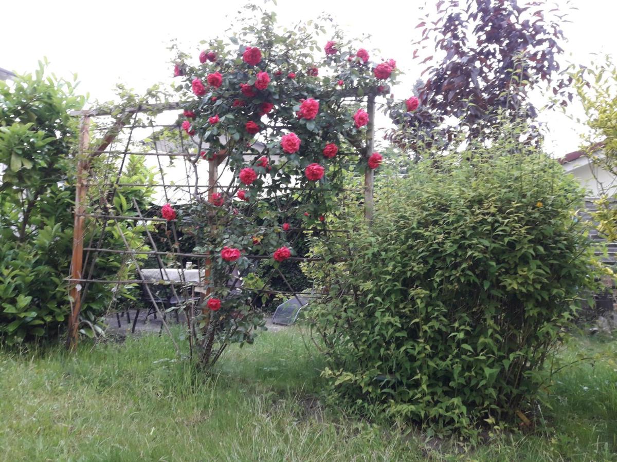 Suitetrails - Gartenblick