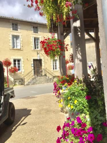 La Belle Vienne - Housity