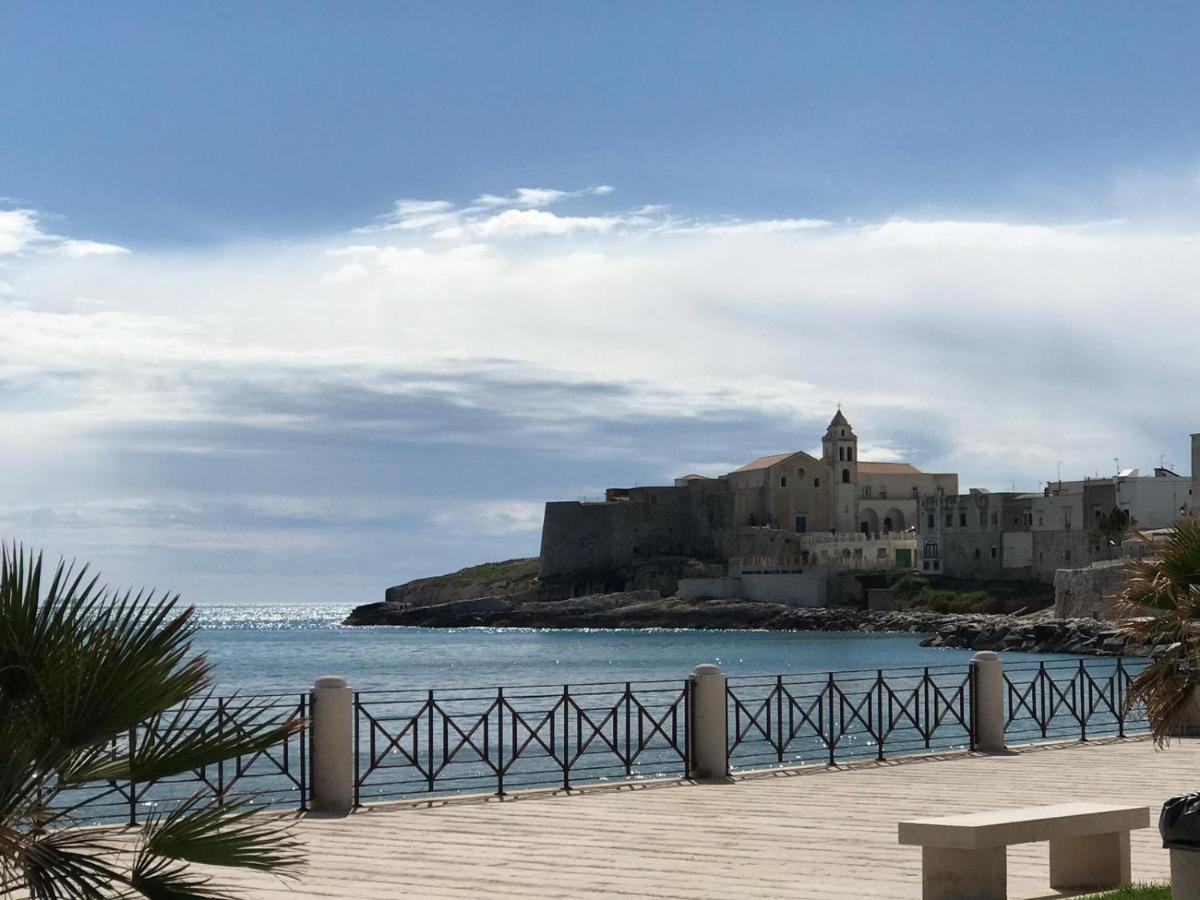 home sweet home vieste - Housity