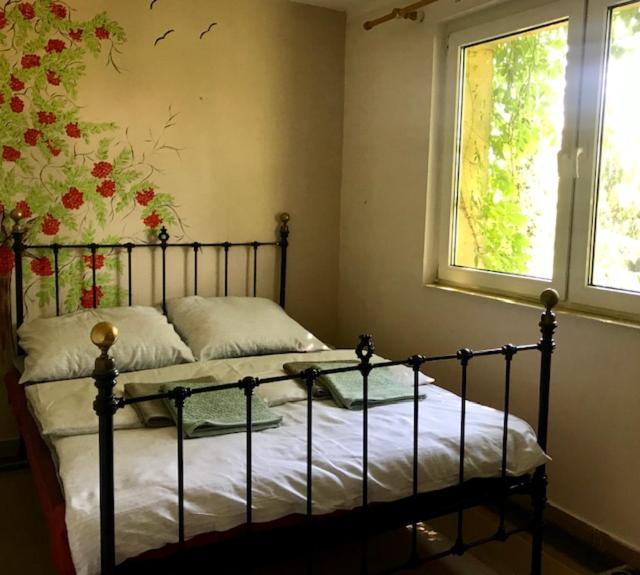 Dom gościnny LERKA - 240 m2 Mazury jeziora lasy - Housity