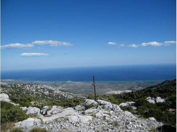 Canne al Vento - Housity