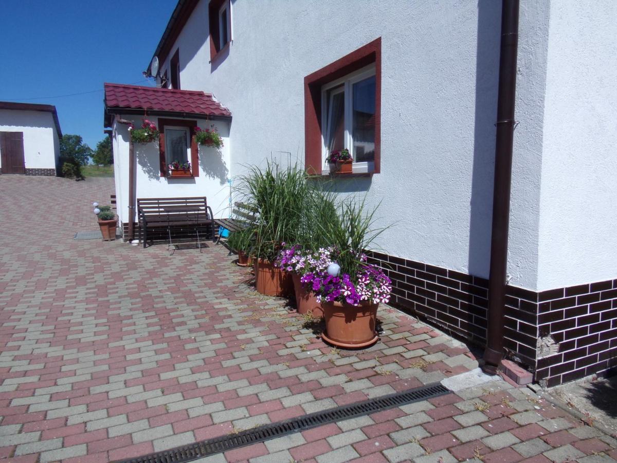Agroturystyka Nad strumykiem - Housity