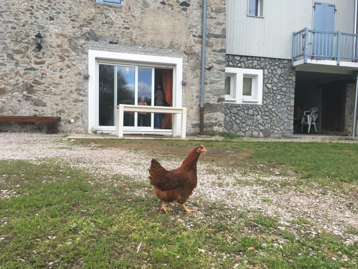 La YAUTE - Housity