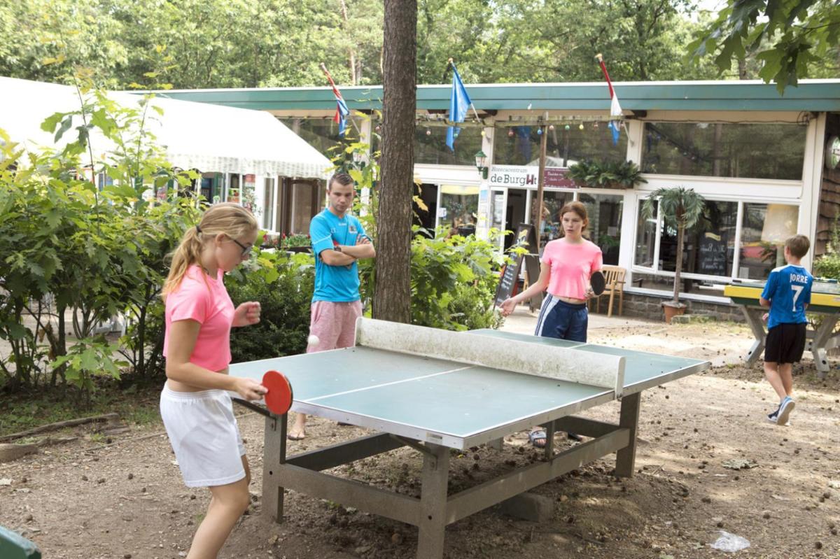 RA Reeënveld Mobile home - Housity