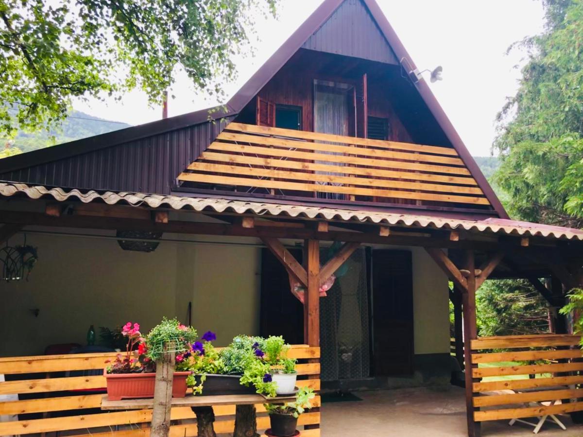 Villa ORKA Pelister - Forest Zone - Housity
