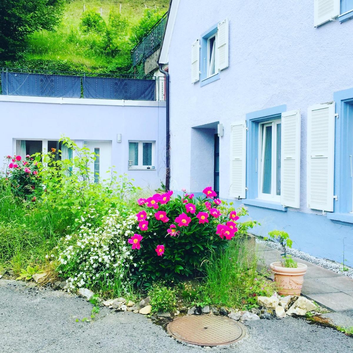Suitetrails - Bed and Breakfast 57