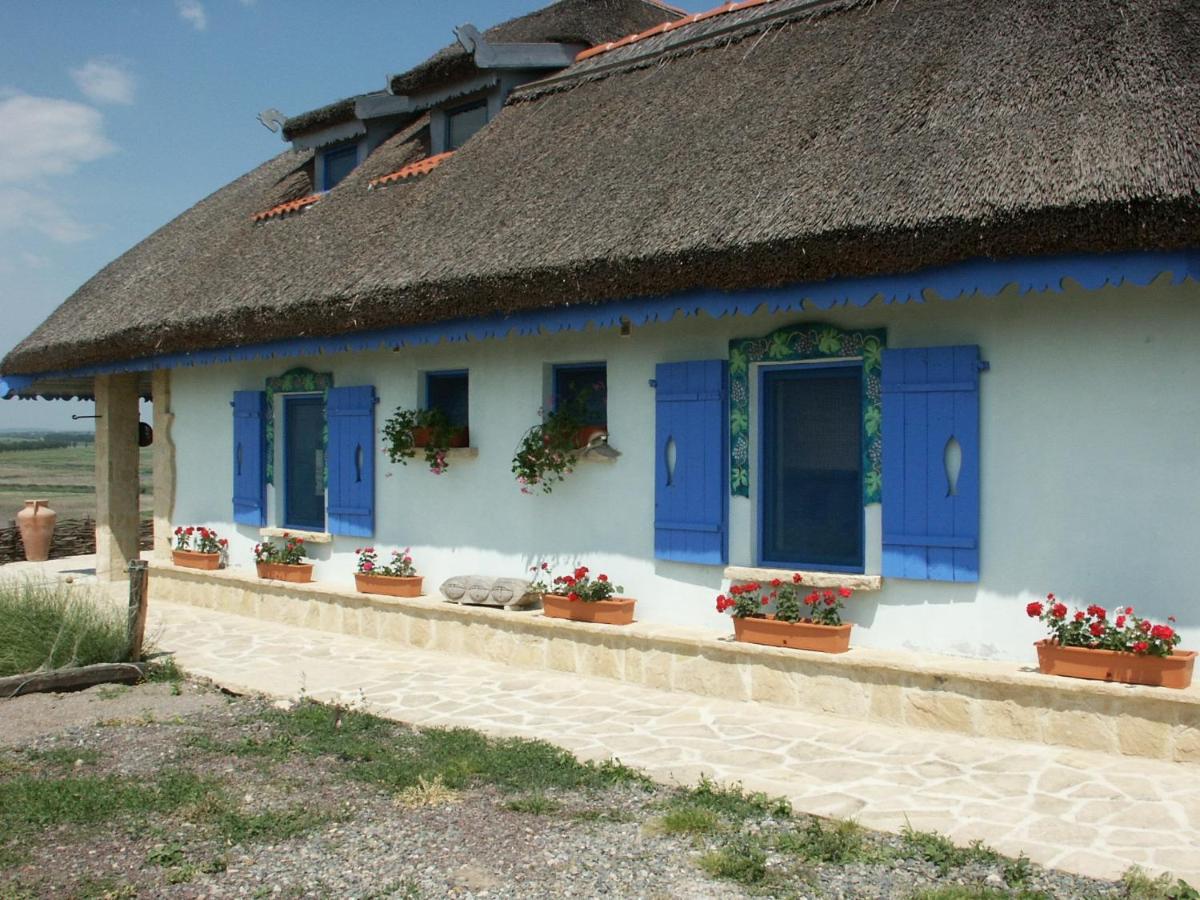 Safari Danube Delta - Housity
