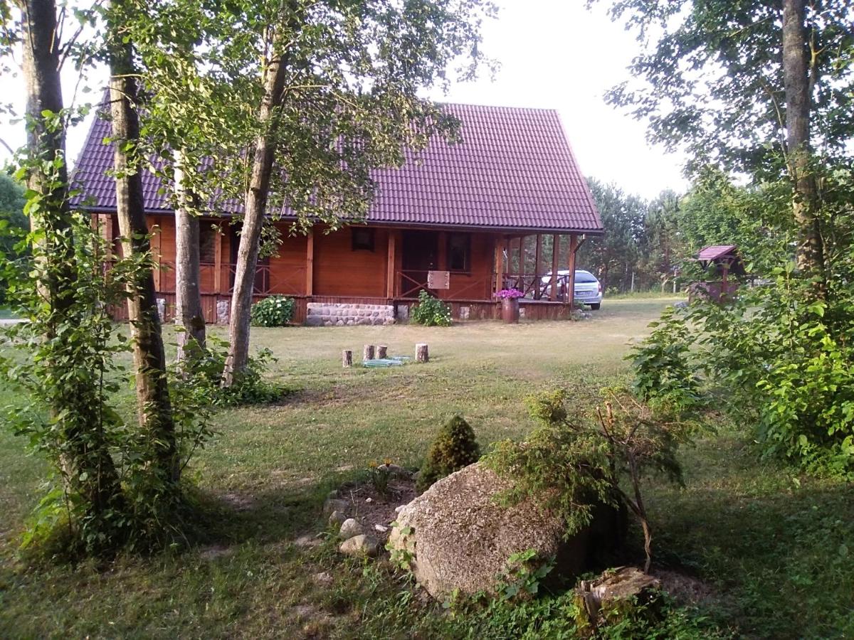 Alisa kviečia. - Housity