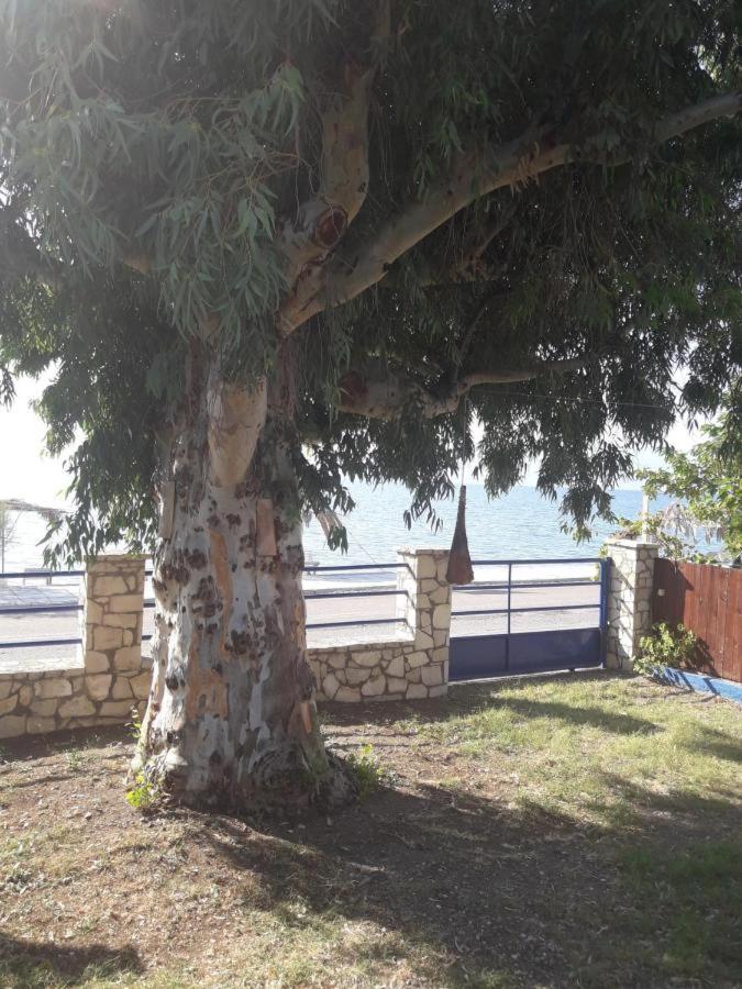 Holiday Tolofona Beach - Housity