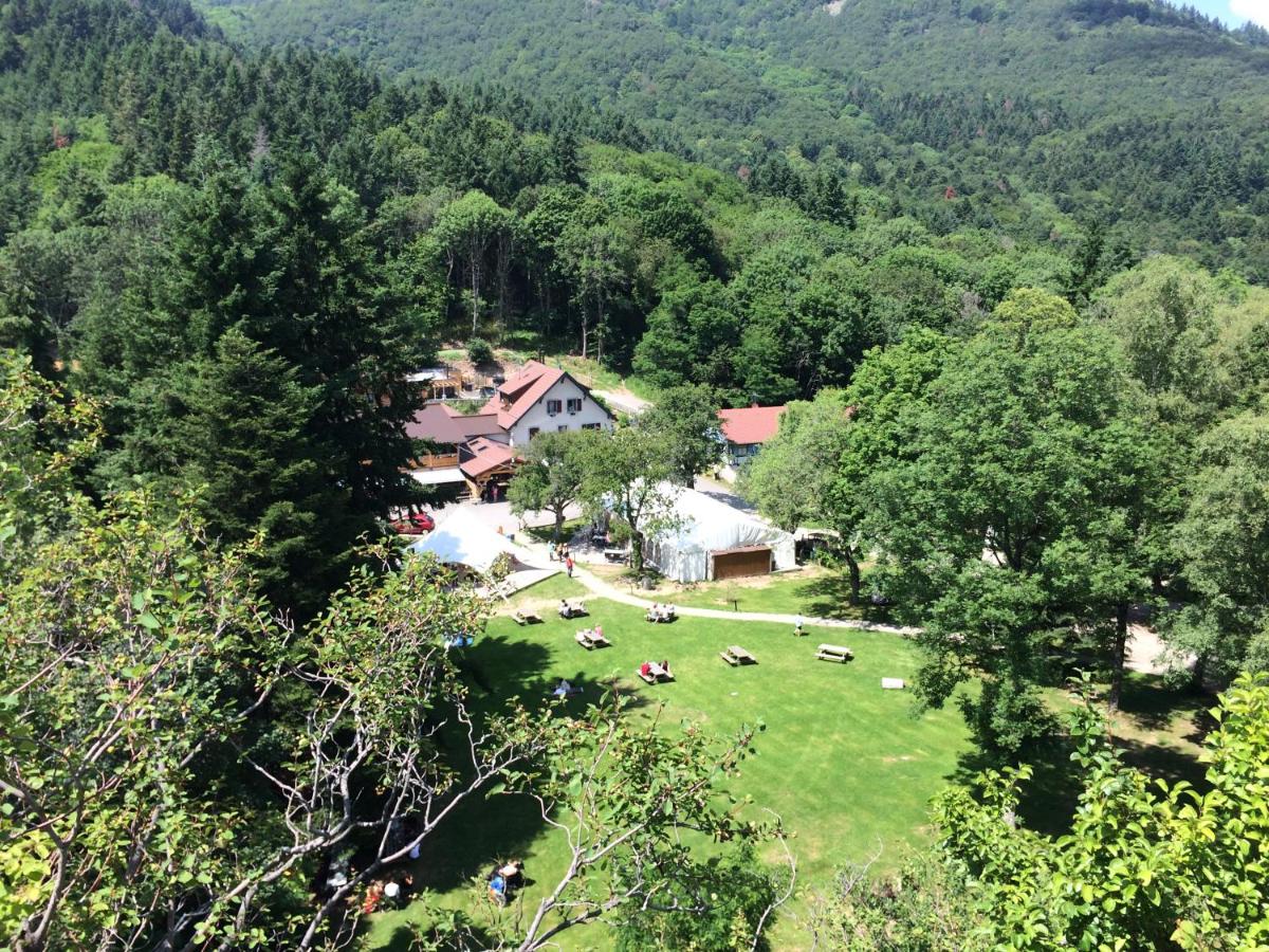 Paysage naturel près de l'appart'hôtel
