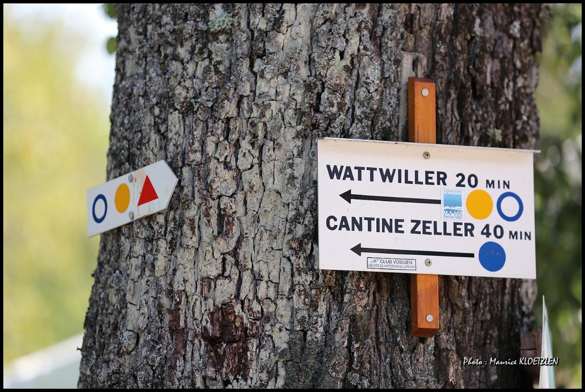 Certificat, récompense, panneau ou autre document affiché dans l'établissement Domaine du Hirtz, Restaurant & Spa