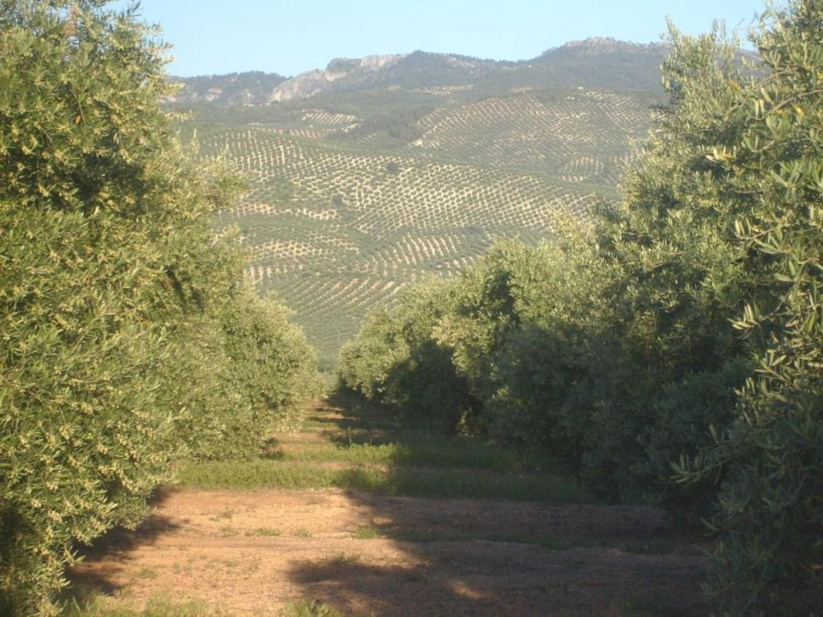 Cortijo El Derramadero - Housity