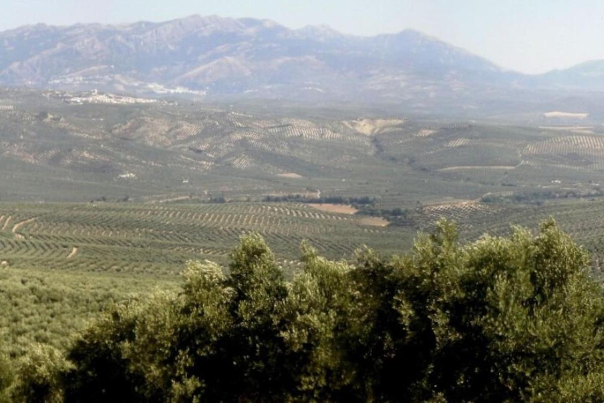 Cortijo El Derramadero - Housity