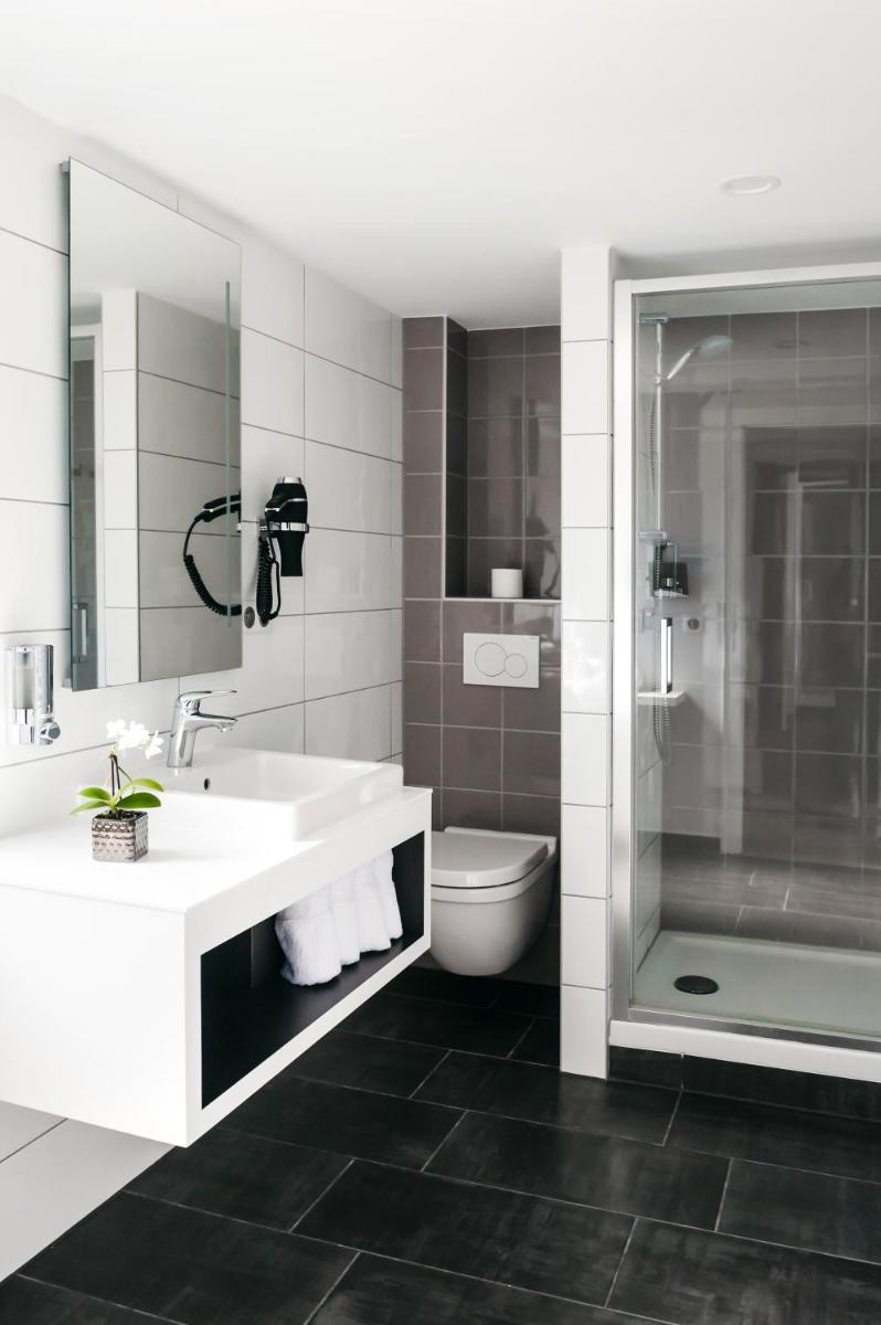 une salle de bains avec lavabo, toilettes et douche dans l'établissement Logis Hôtel Restaurant Au Lion Rouge, à Bartenheim 90 autres photos