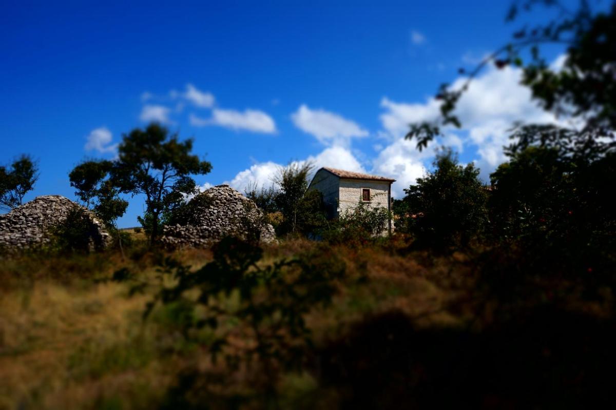 Pezzelelle - Housity