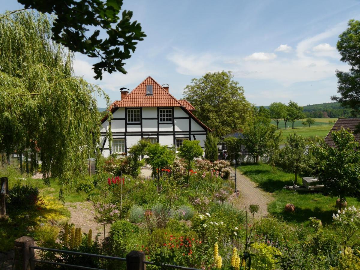 Ferienwohnung Weserblick Polle - Housity