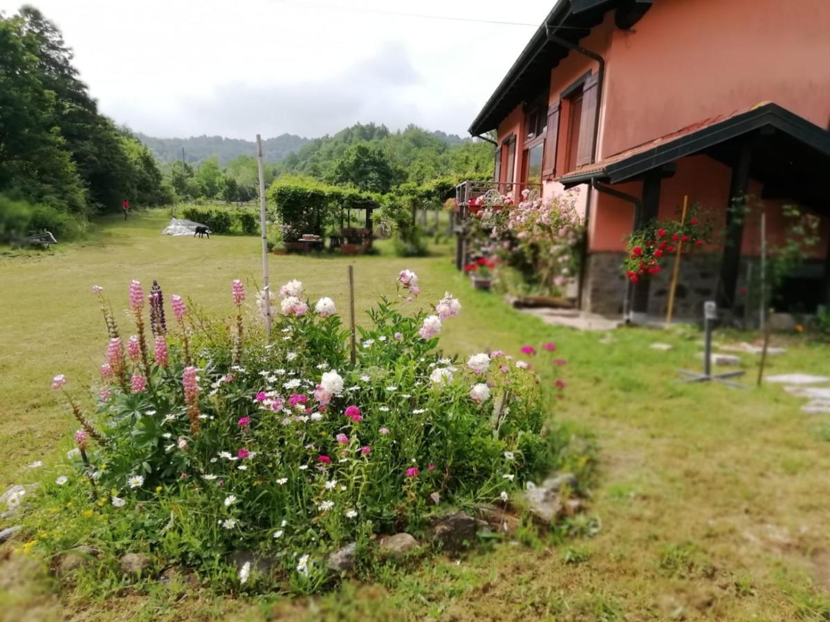Il pettirosso di Giusvalla - Housity