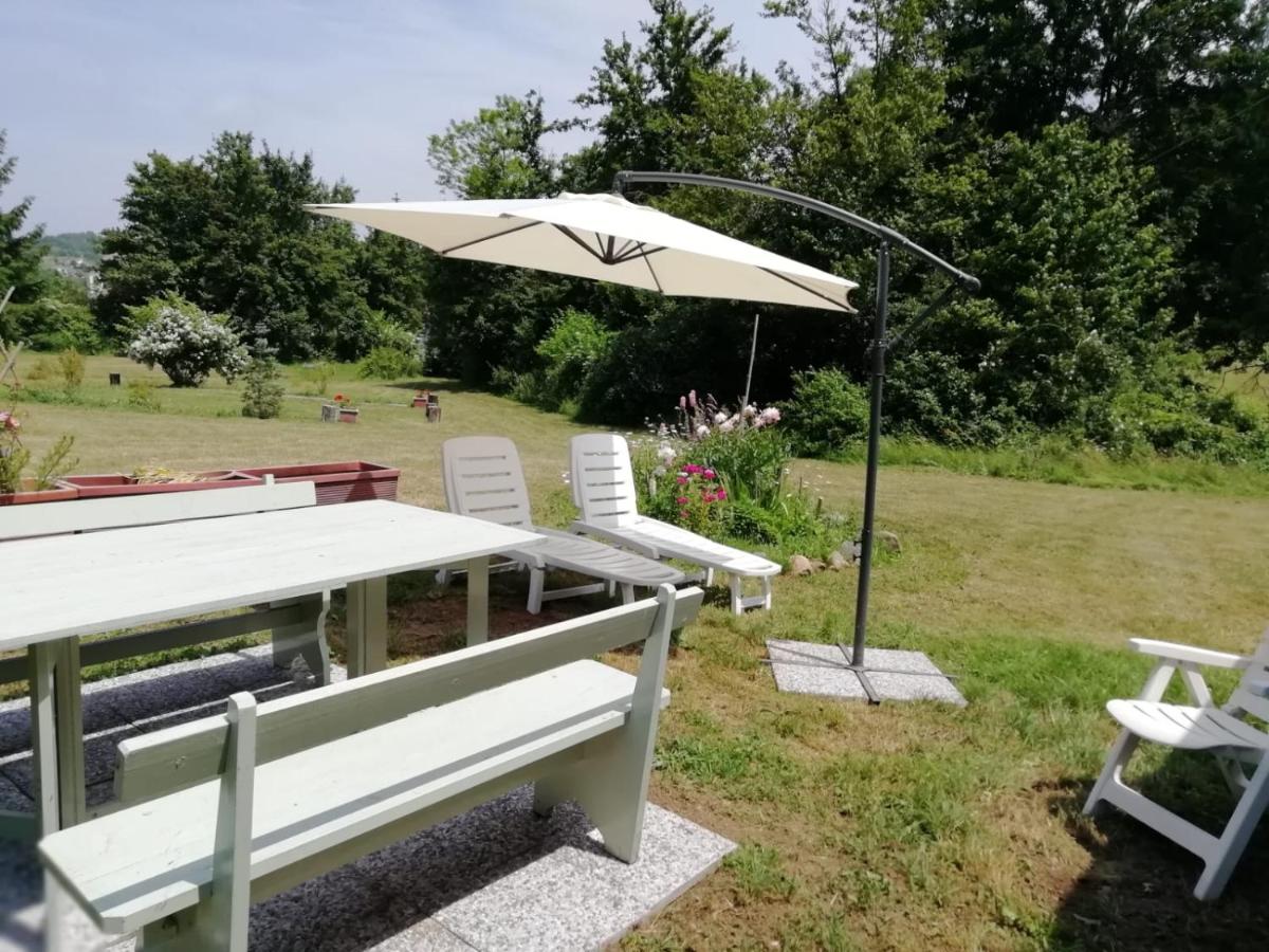 Il pettirosso di Giusvalla - Housity