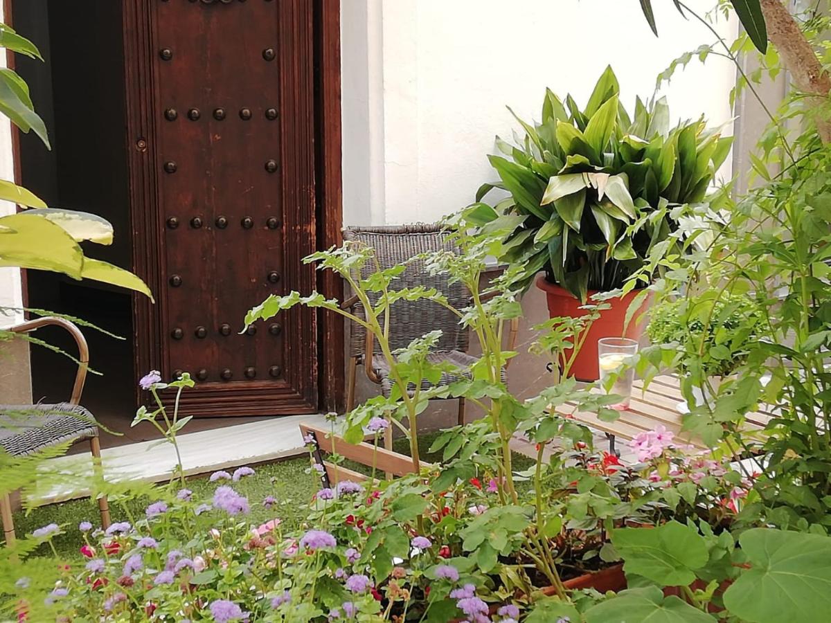 Hotel Avenida 31 - Housity
