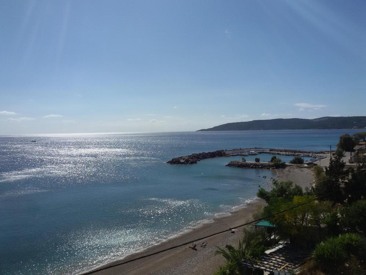 Theoxenia Chios Apartments - Housity