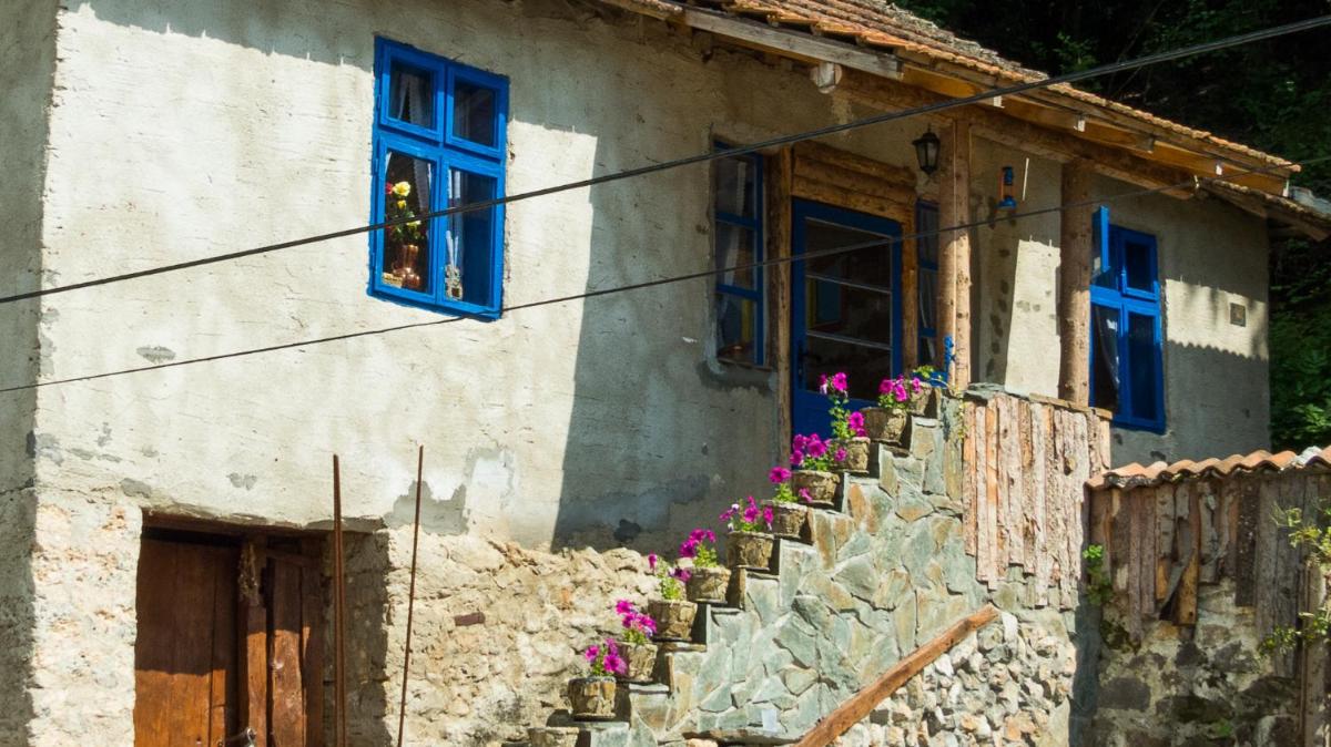 Charming rustic house in the village Lipovac - Housity