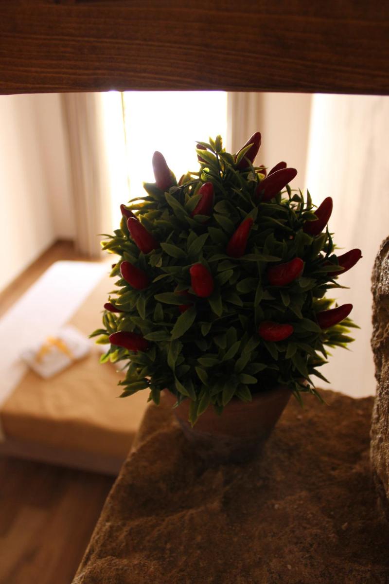 GUEST HOUSE ZIO MICHELE - CINISI - Housity