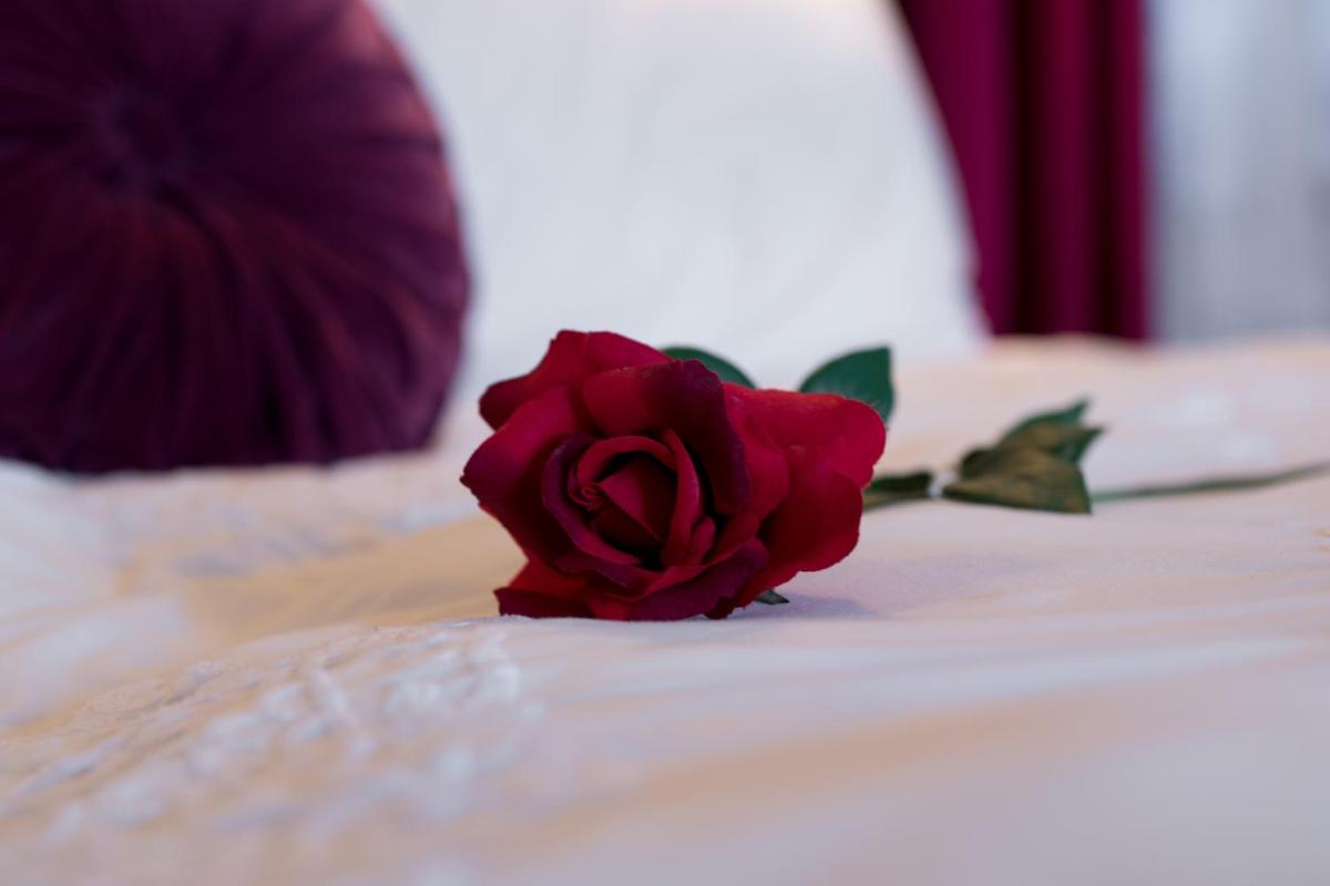 AMOuR AMOUR - Housity