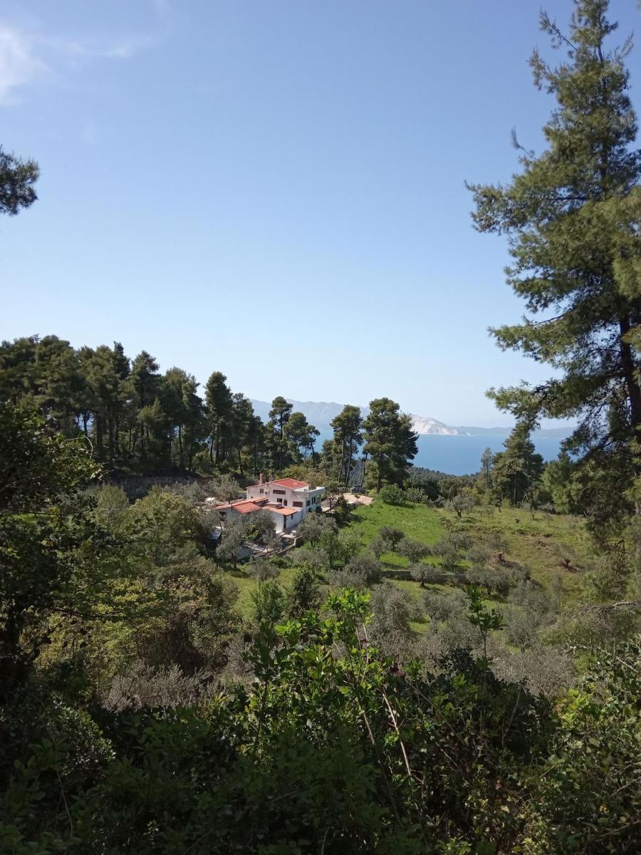 Houni House - Housity