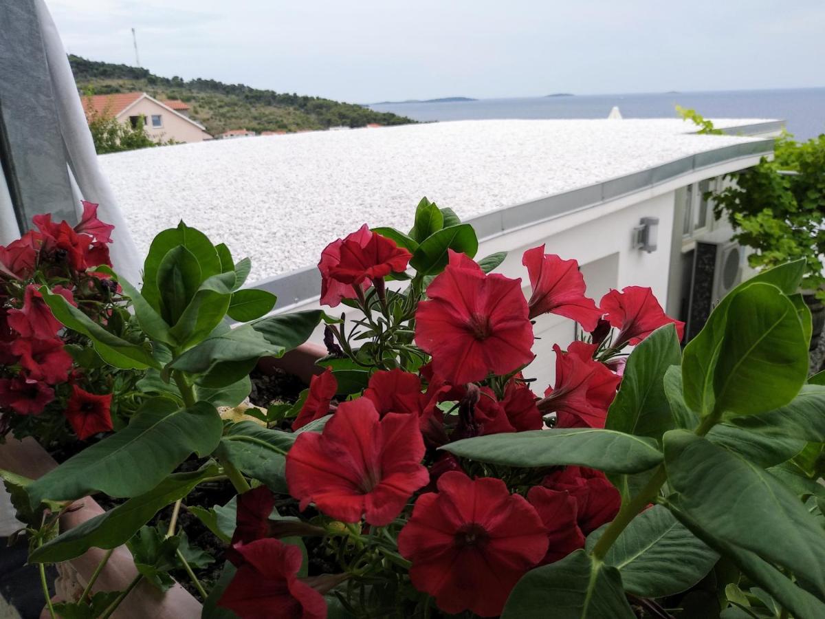 Apartments Villa Šibenik - Housity