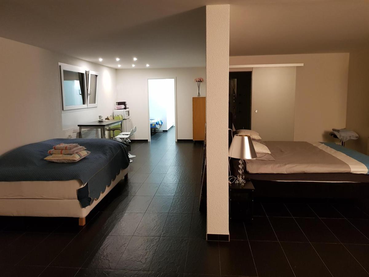 Nice Apartment in Horgen near lake and Pool - Housity